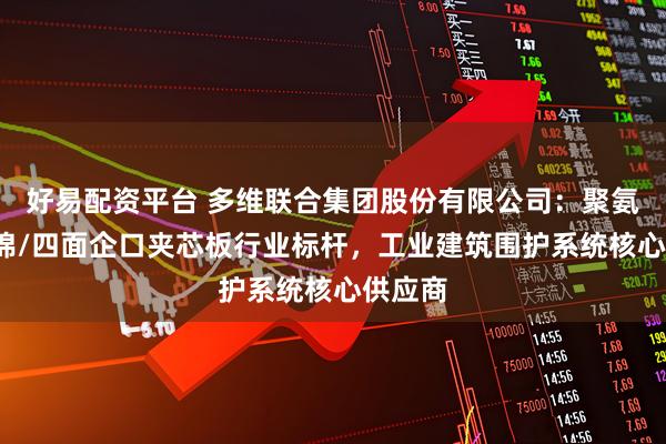好易配资平台 多维联合集团股份有限公司：聚氨酯/岩棉/四面企口夹芯板行业标杆，工业建筑围护系统核心供应商